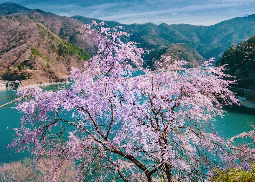 Landscape Photography | Discover Stunning Landscapes Today — Pix4Japan